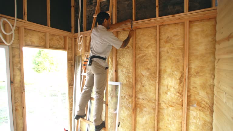 Best Blown-In Insulation  in Perry, MI